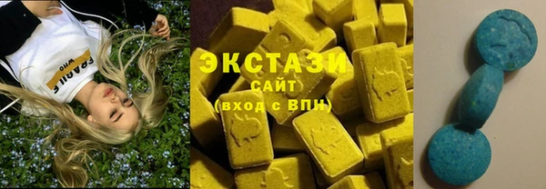 ECSTASY Богданович